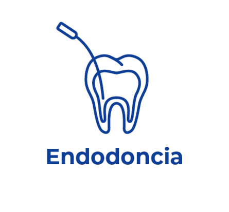 Endodoncia